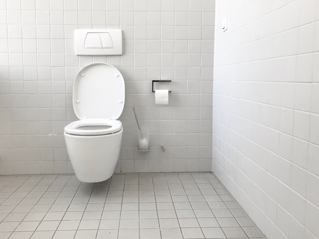 Toilet Designs